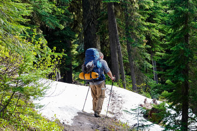 Rear view of woman walking on rock