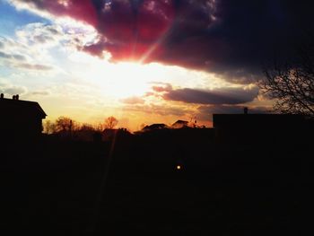 Silhouette of trees at sunset