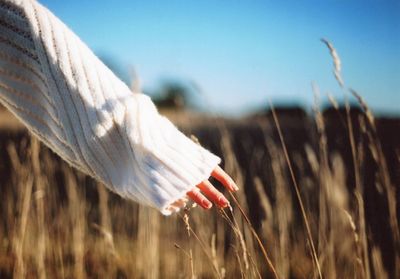 Cropped hand of woman touching plants on field during sunny day