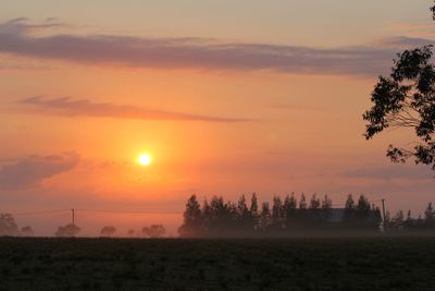 Silhouette trees on field against orange sky