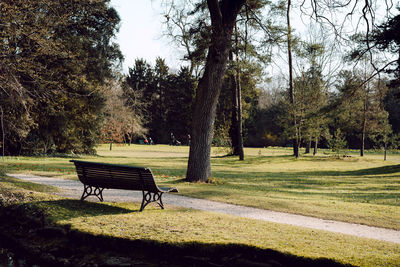 Empty bench in park