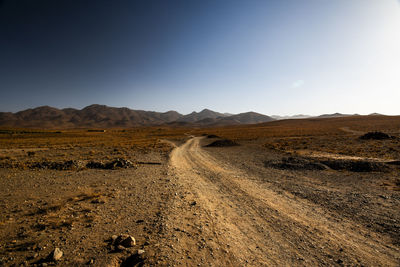 Scenic view of agricultural field against clear sky