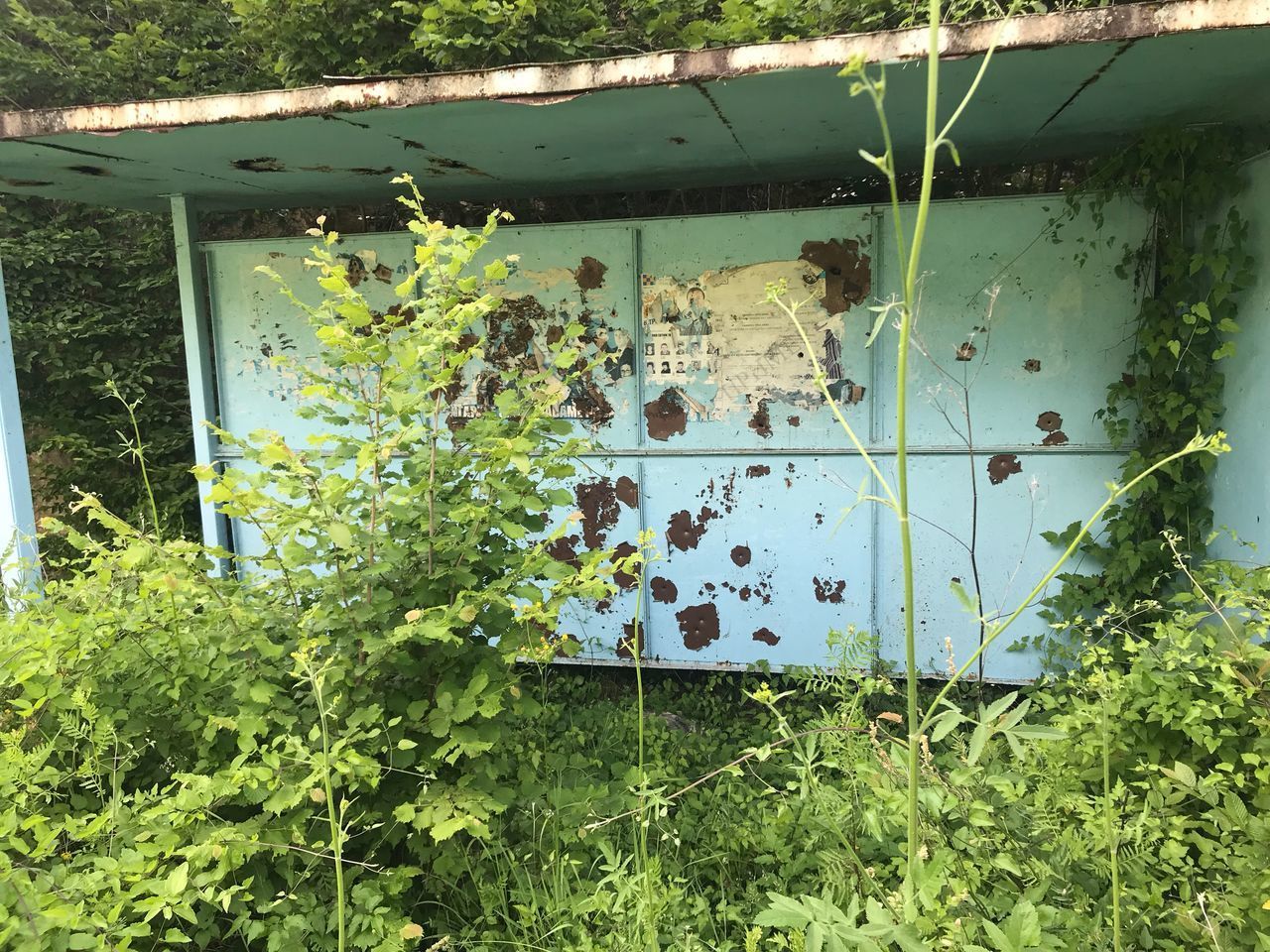 ABANDONED BUILT STRUCTURE WITH IVY