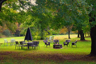 Empty bench in park
