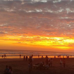 Silhouette people at beach during sunset