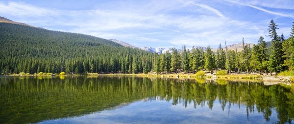 Scenic view of lake in forest against sky