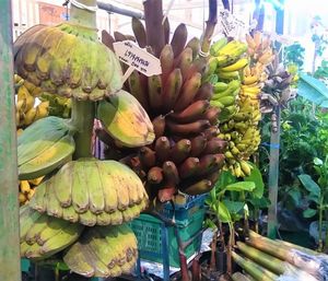 Various fruits for sale at market stall