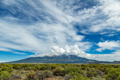 Scenic view of field against blue sky