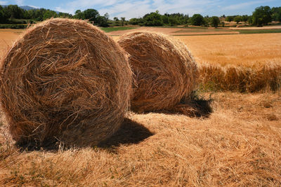 Two hay bales within a field