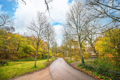 Road amidst bare trees against sky during autumn