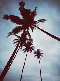 Low angle view of silhouette palm tree against sky