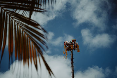 Low angle view of palm trees against sky