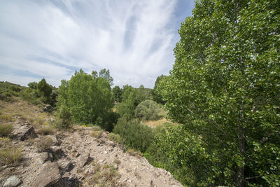 Scenic view of land against sky