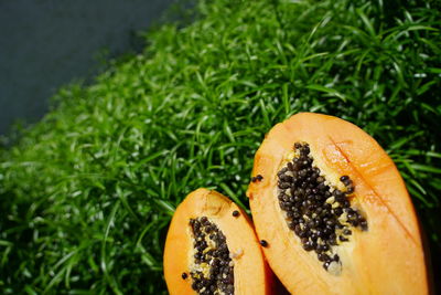 High angle view of orange slices on leaf