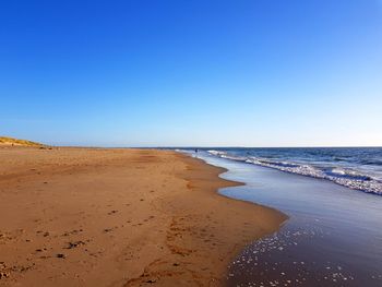 Scenic view of beach against clear blue sky