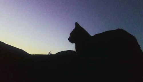 Silhouette of built structure against sky