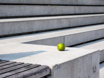 Lime on steps