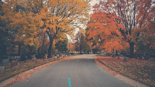 Empty road amidst autumn trees