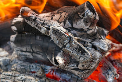 Burning firewood and coals of a fire close up. close-up of tree trunk