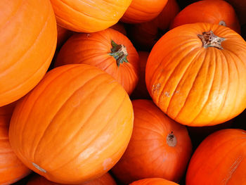 Full frame shot of pumpkins at market