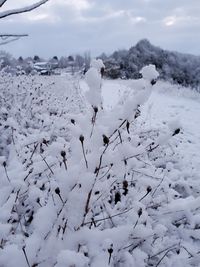 Scenic view of snow covered field against sky