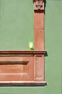 Close-up of green potted plant against wall