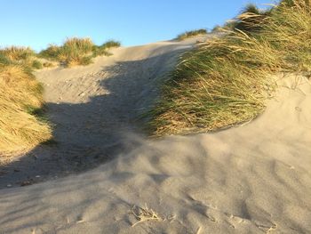 Scenic view of beach against clear sky