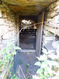 Entrance of abandoned building