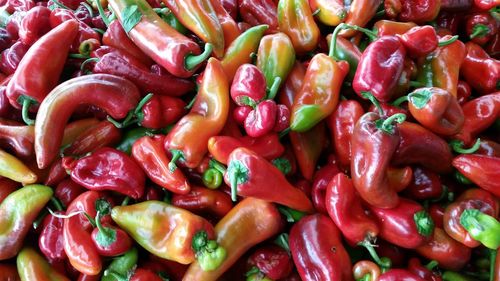 Full frame shot of red peppers for sale