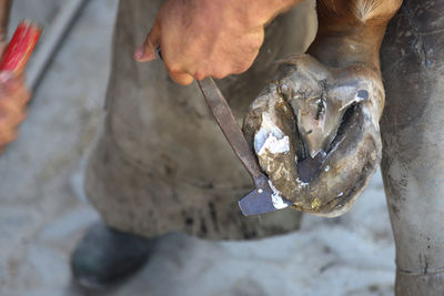 Close-up of hand holding fish