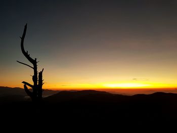 Silhouette bare tree against sky during sunset