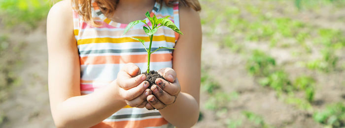 Midsection girl holding sapling