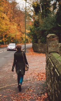 Rear view of woman walking on autumn trees