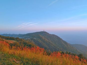 Scenic view of landscape against sky during autumn