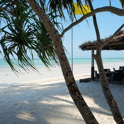 Palm trees on beach against sky