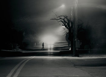 Road along trees at night