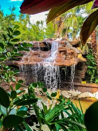 Close-up of fountain in garden