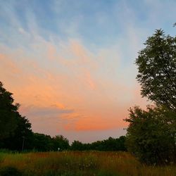 Scenic view of landscape against sky during sunset