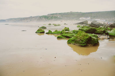 Scenic view of beach against sky