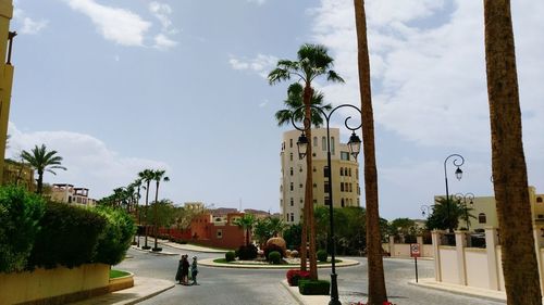 Street by palm trees against sky in city