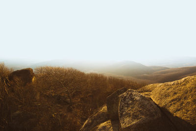 Scenic view of landscape against clear sky