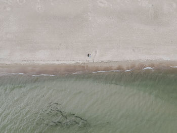 Bird flying over sea