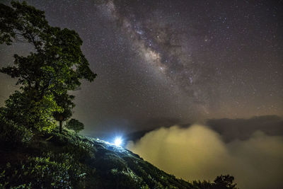 Scenic view of trees against star field at night