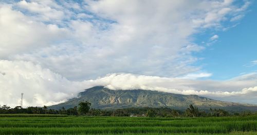 Countryside landscape against cloudy sky