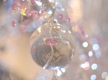 Close-up of illuminated christmas decoration