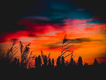 Silhouette plants against dramatic sky during sunset