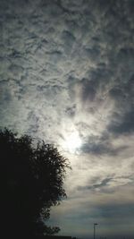 Low angle view of silhouette tree against sky at sunset