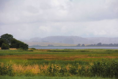 Scenic view of field against cloudy sky