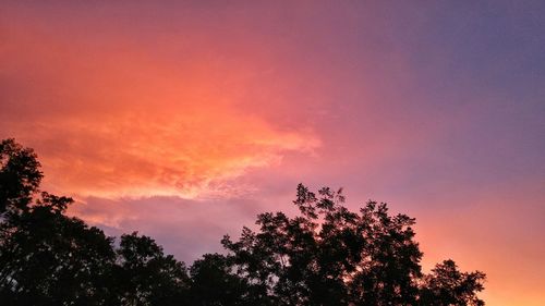 Low angle view of silhouette trees against sky at sunset