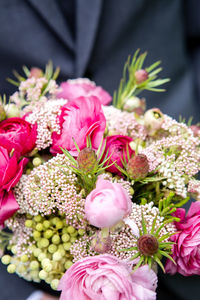 Close-up of pink flowers